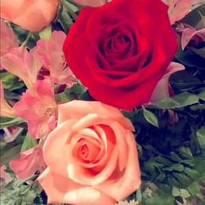 Meet your Posher, Destiney